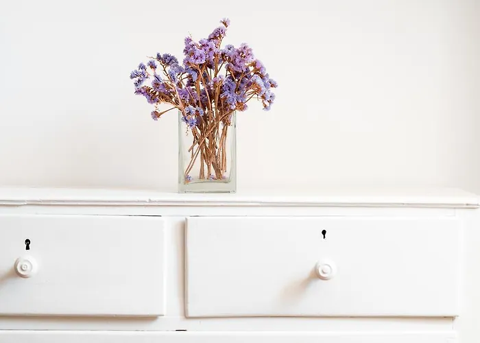 Lejlighed Pateo Santo Estevao-self Catering *